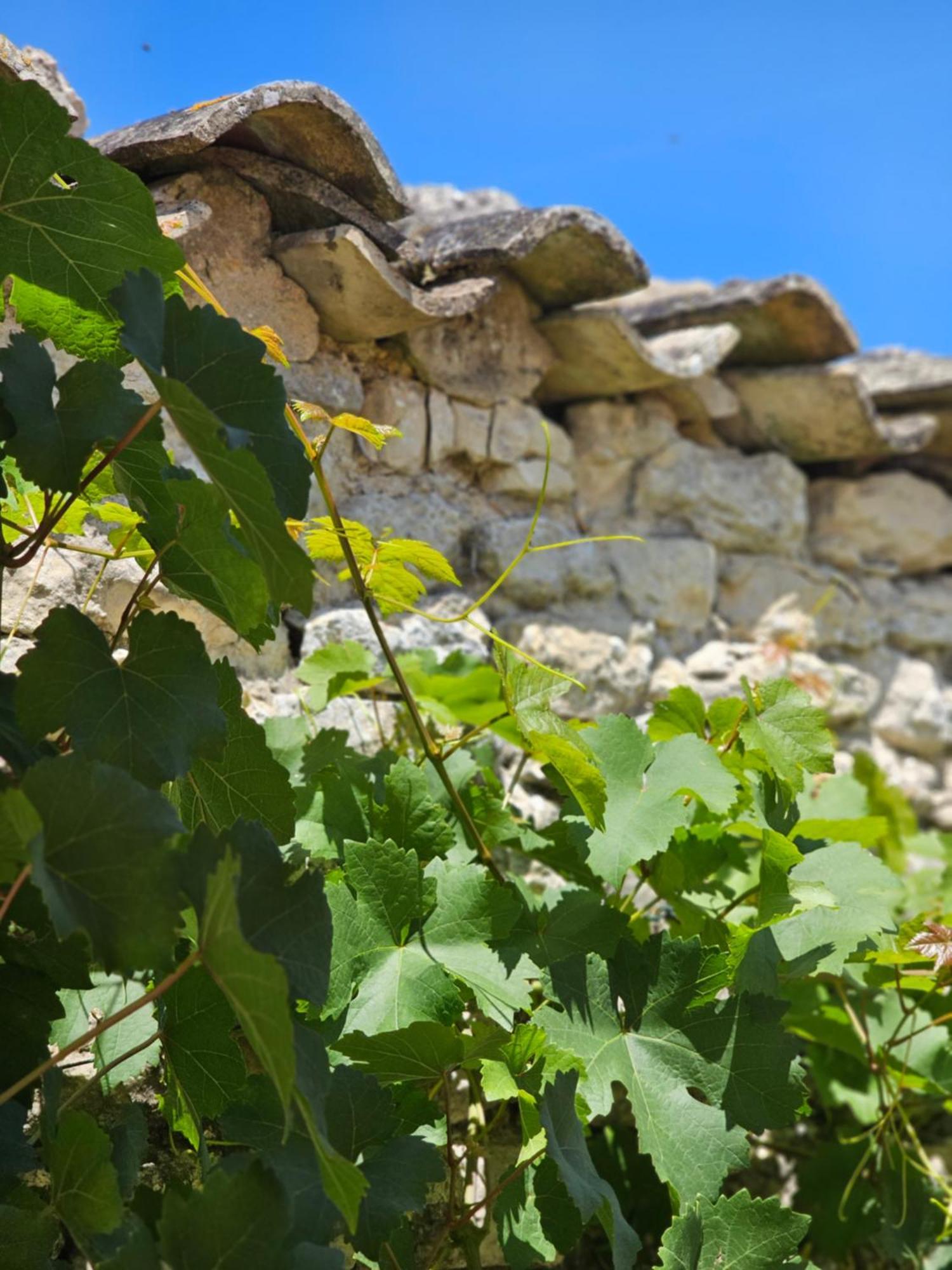 Domaine Slow-Life Thairé Zewnętrze zdjęcie